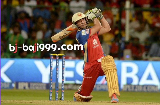 Fulfilling Every Cricket Enthusiast's Fantasy!